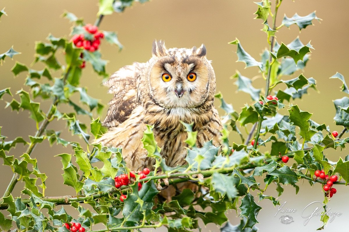 1DX45478 28 november 2021 1406 29